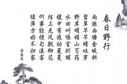 开云体育-跨界竞技场，当山西队关键战突围灰熊，杜兰特在欧冠淘汰赛接管比赛