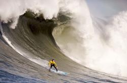 开云体育官网-秘鲁压哨击败奥地利，马丁内利成为关键先生