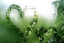 开云官方app入口-欧洲足球杯赛场上的实力对比