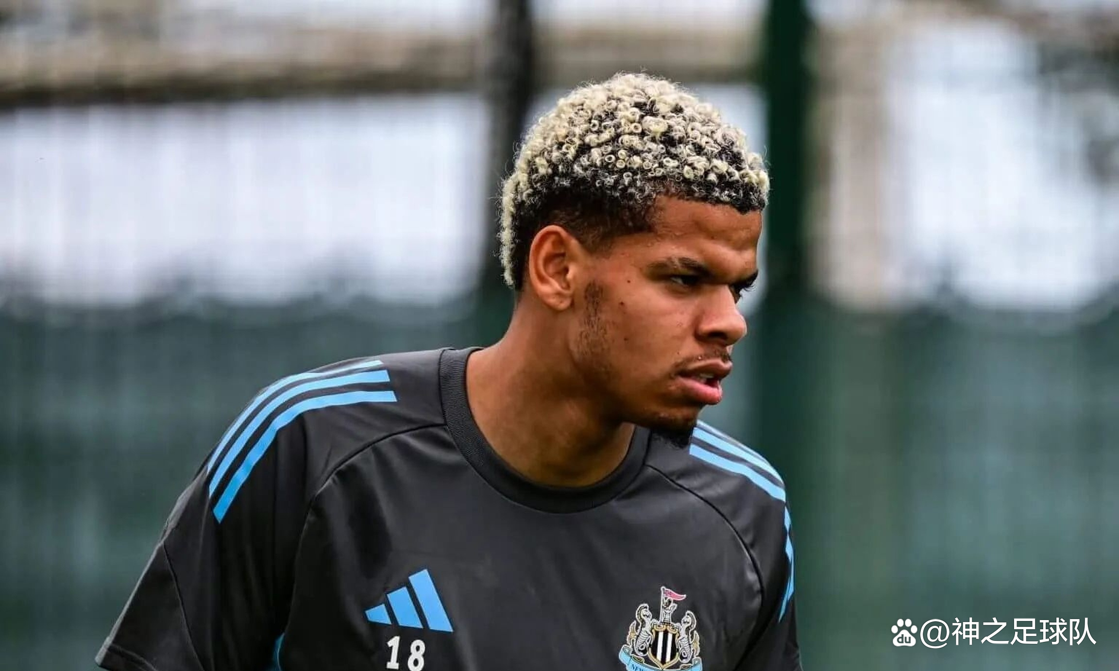 关于法兰克福前锋秀出绝杀,球队喜迎胜利的信息 关于法兰克福前锋秀出绝杀,球队喜迎胜利的信息