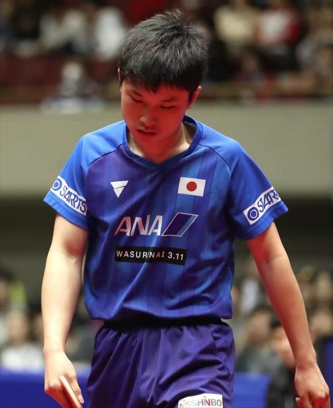 中国乒乓球队绝杀法国乒乓球队，张本智和送出助攻的简单介绍