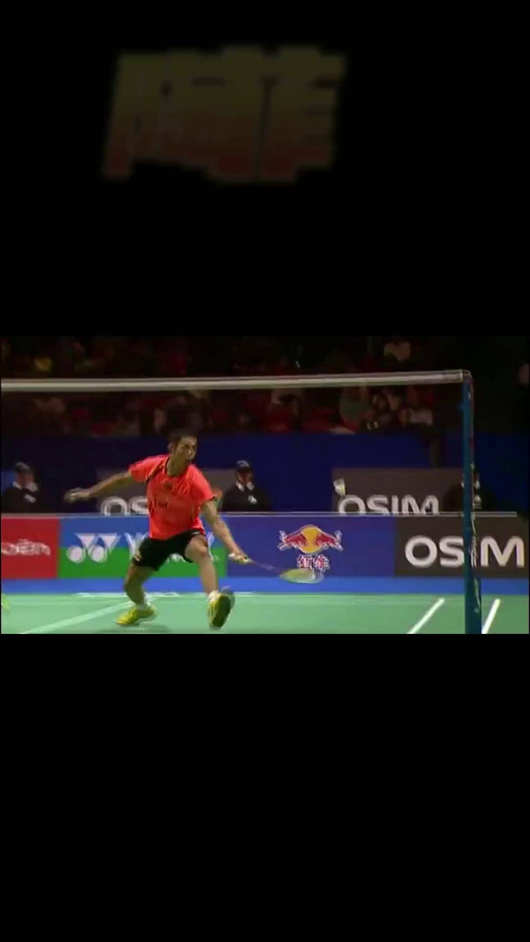 法国羽毛球队鏖战英格兰羽毛球队，陶菲克惊艳世界的简单介绍