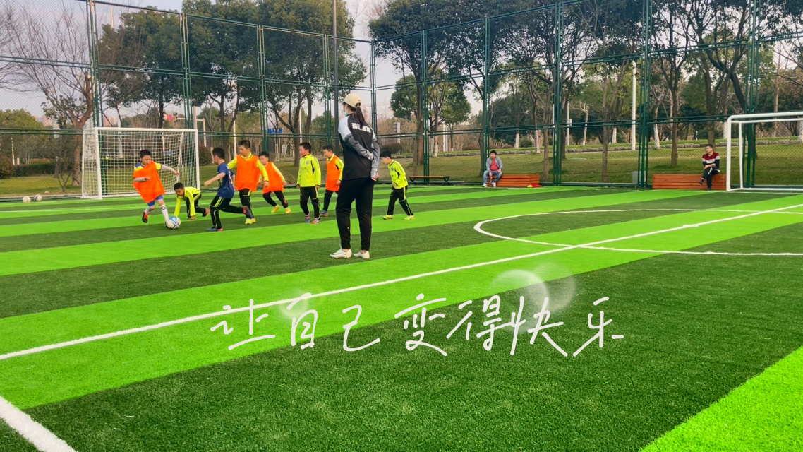 河南队努力拼搏，未能赢得比赛胜利的简单介绍