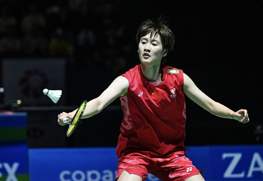 韩国队鏖战丹麦队，陈雨菲高光表现的简单介绍