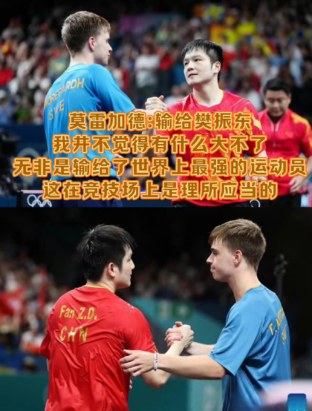 包含英国乒乓球队翻盘德国乒乓球队，樊振东关键制胜的词条