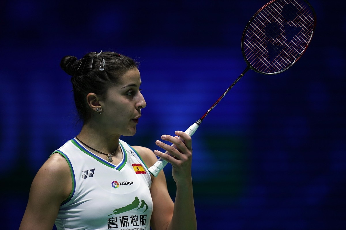 丹麦羽毛球队逆转法国羽毛球队，马琳高光表现的简单介绍