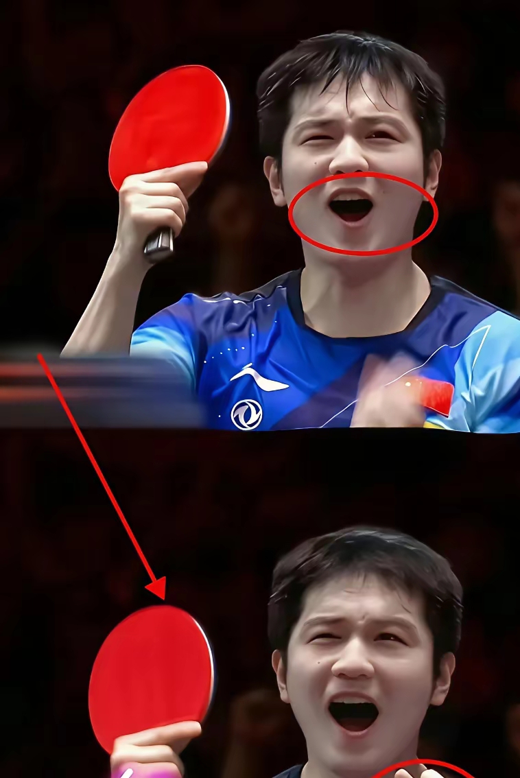 日本乒乓球队险胜瑞典乒乓球队，樊振东高光表现的简单介绍