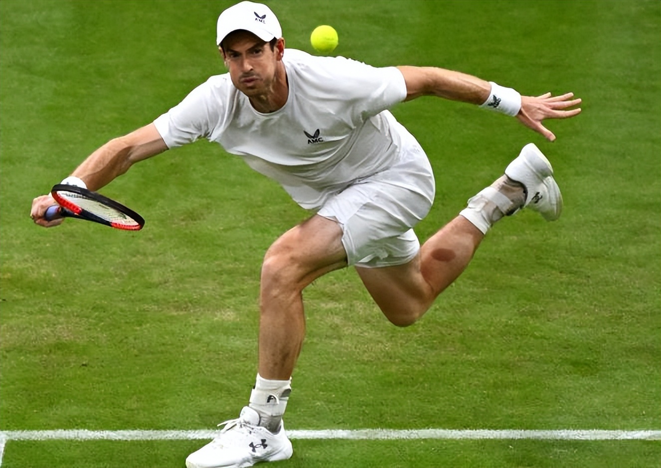 包含温网轻取拉沃尔杯，穆雷扛起全队的词条