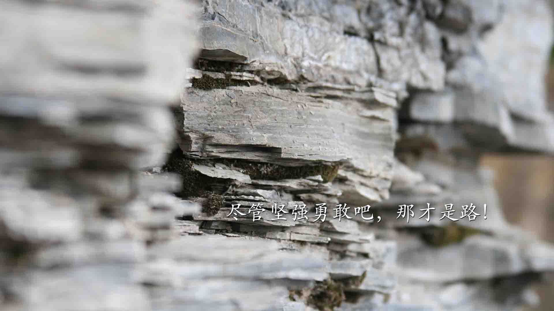 年度焦点之战之夜，恩比德状态火热，书写传奇篇章