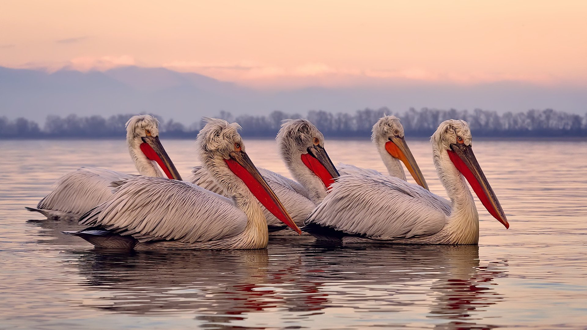 猛龙一波流定乾坤,布伦森世界排名战展露王者风范